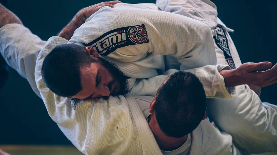 Jiu Jitsu Master Self-Defense in the Arts